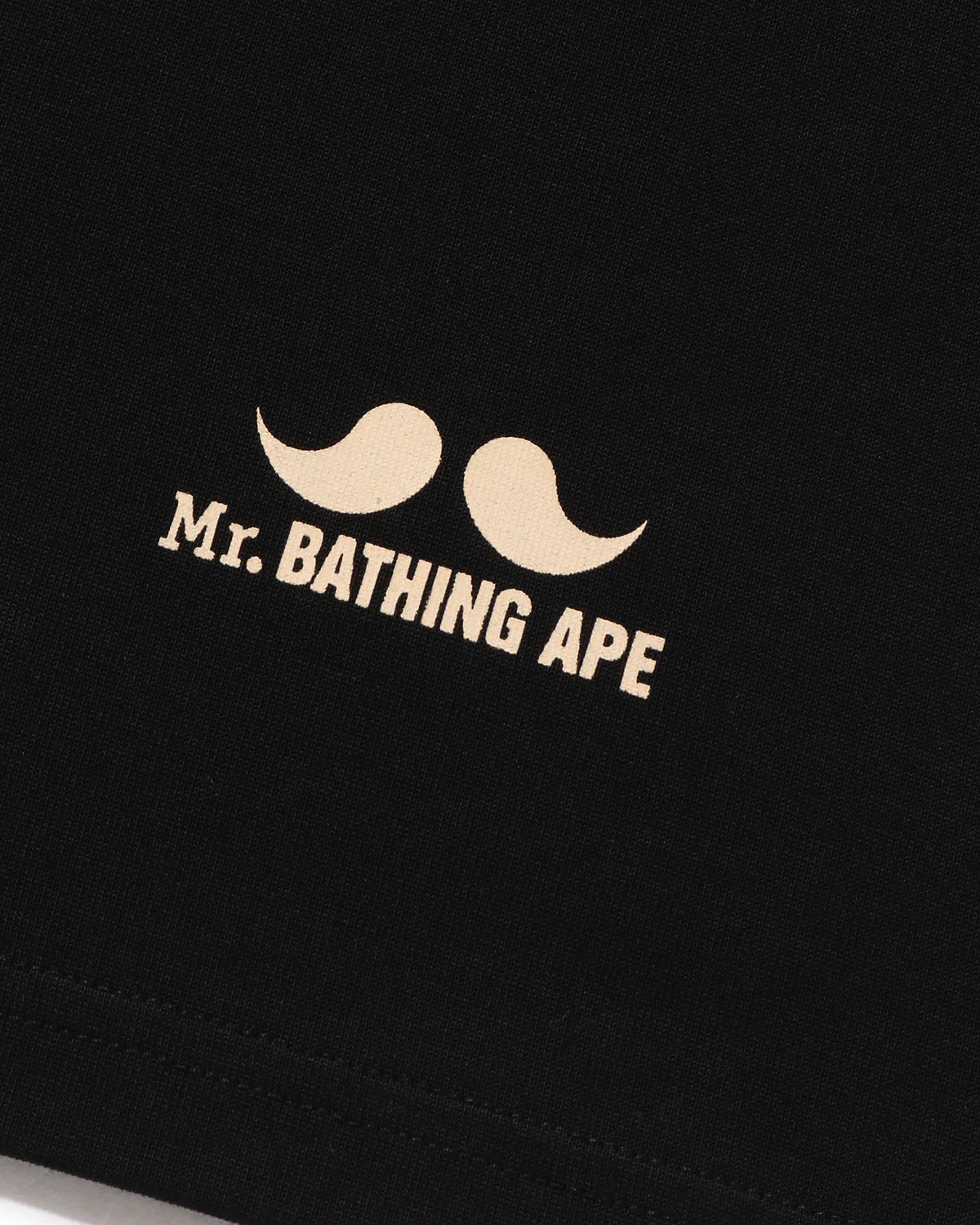 Mr. Bathing Ape Ss Print Tee #8